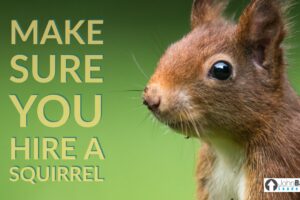 Make Sure You Hire A Squirrel