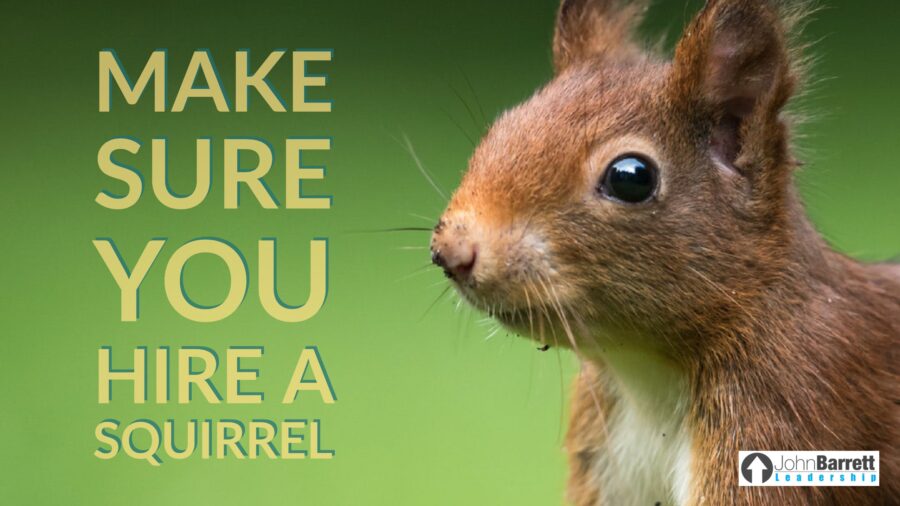 Make Sure You Hire A Squirrel