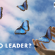 Are You A Let Go Leader?