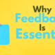 Why Feedback Is Essential