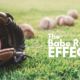 The Babe Ruth Effect