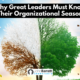 Why Great Leaders Must Know Their Organizational Season